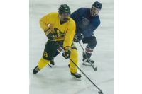 Nouvelle ligue de hockey universitaire : l’Université de Sherbrooke sera de l’aventure